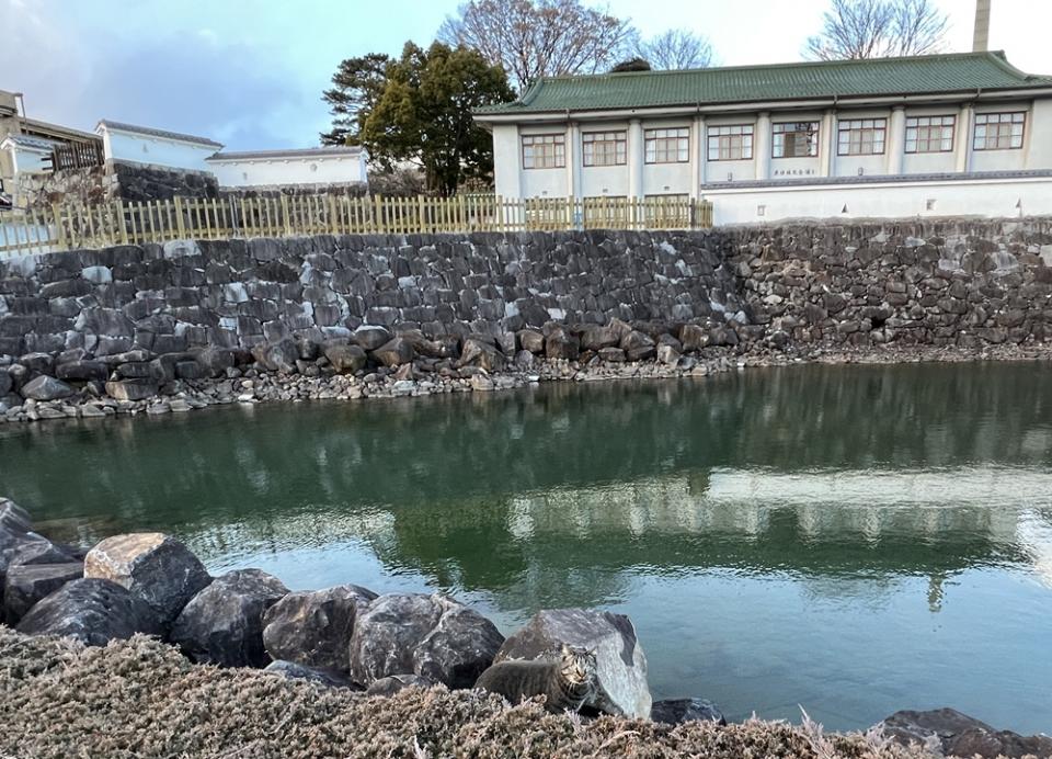 左側が行き止まりのスロープ