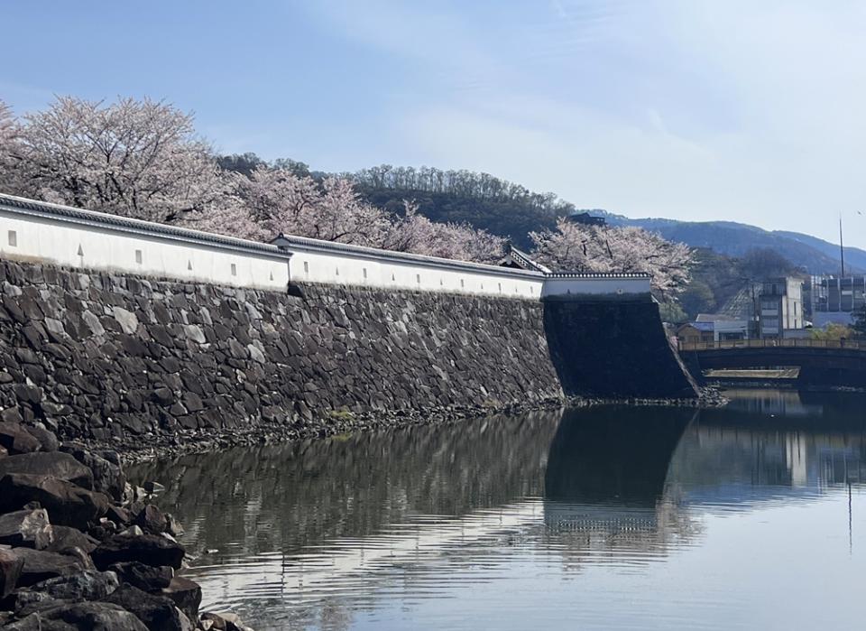 桜の季節は満開の桜と石垣のコラボ!