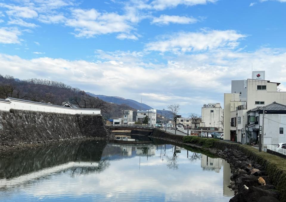 西側から撮ると愛宕山や周りの建物も一緒に写って、さらに映え!
