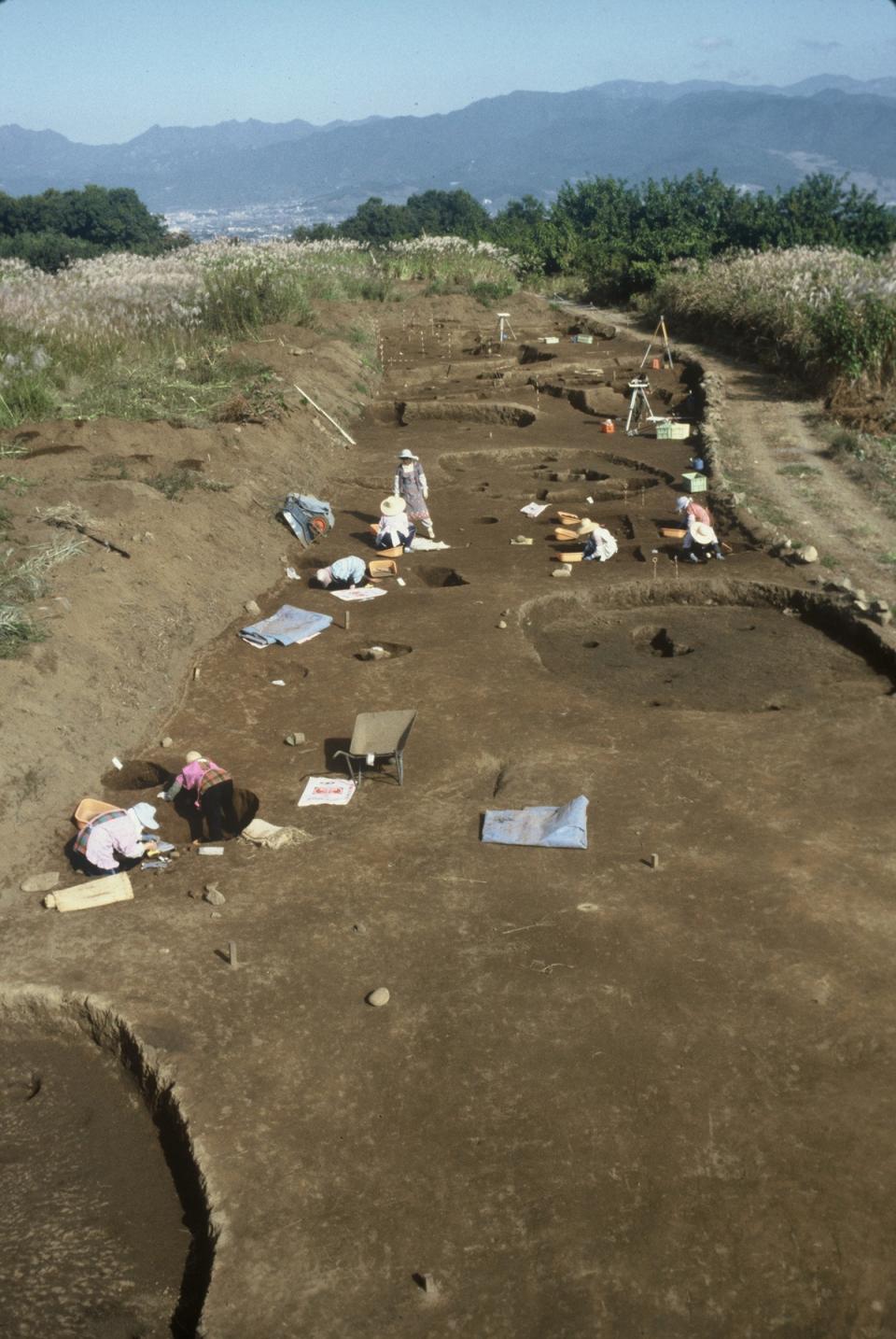 ガードレール左側の道路が発掘された場所