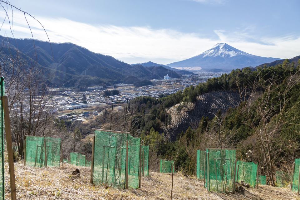 信玄公ゆかりの地を訪ねて_20