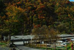 紅葉した山々【早川町奈良田付近】_01