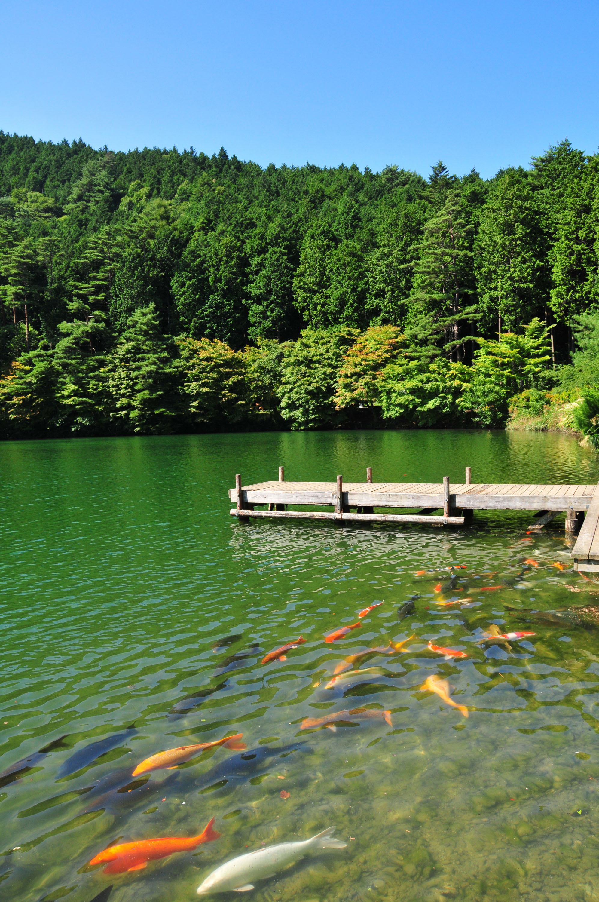 伊奈ヶ湖 富士の国やまなし観光ネット 山梨県公式観光情報