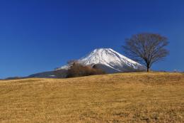 富士ヶ嶺地区内の道1