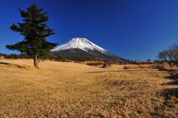 富士ヶ嶺地区内の道3