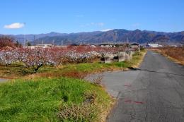 日川沿いの道路3