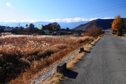 日川沿いの道路4