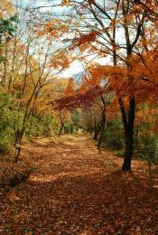 大野遊歩道3