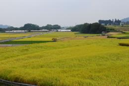 農道・田園風景3