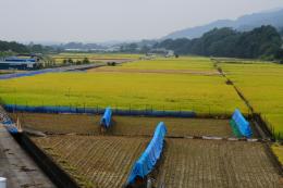 農道・田園風景4