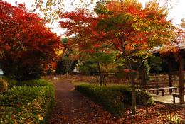 歌舞伎文化公園・ふるさと会館3