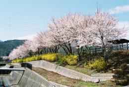 利根川公園01