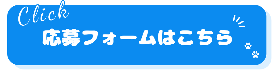 【ひし丸CP】応募ボタン