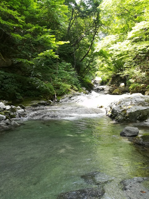 川沿い