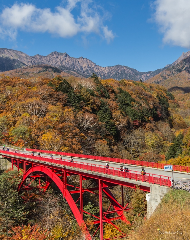 東沢大橋からの紅葉