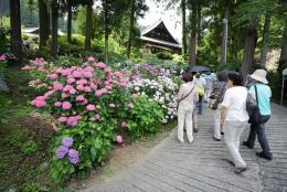 妙法寺2