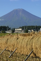 富士山ビュー（富士吉田市）3