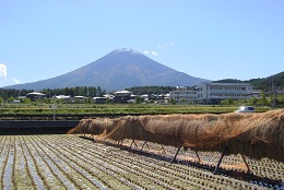 富士山ビュー（富士吉田市）2