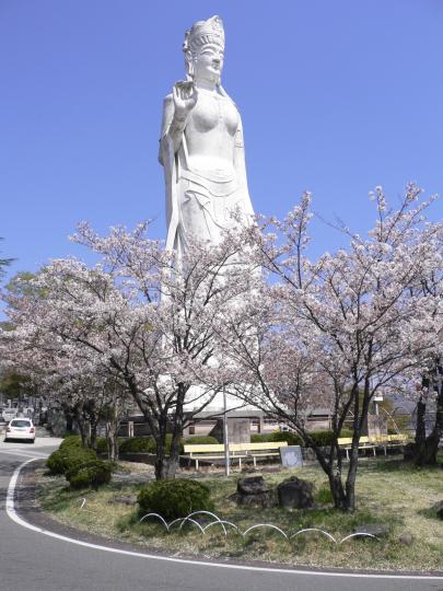 韮崎平和観音と桜