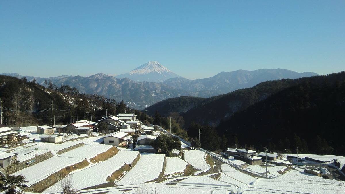 平林の棚田1