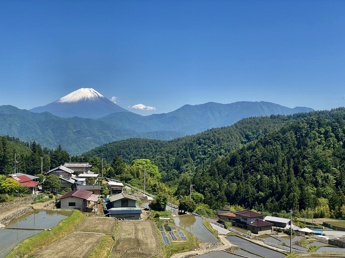 平林の棚田4