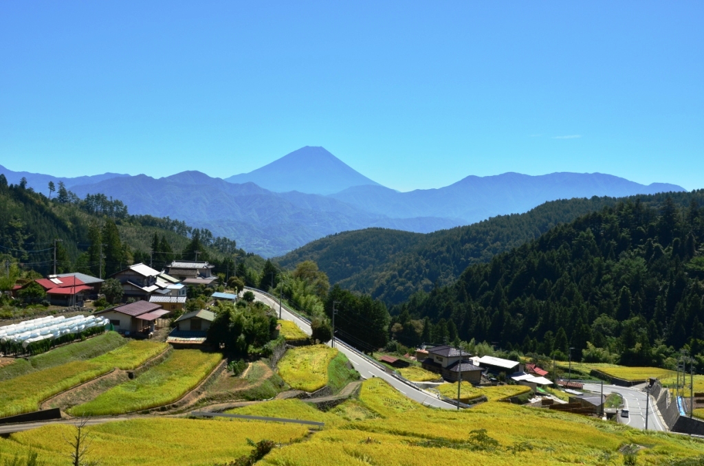 平林の棚田7