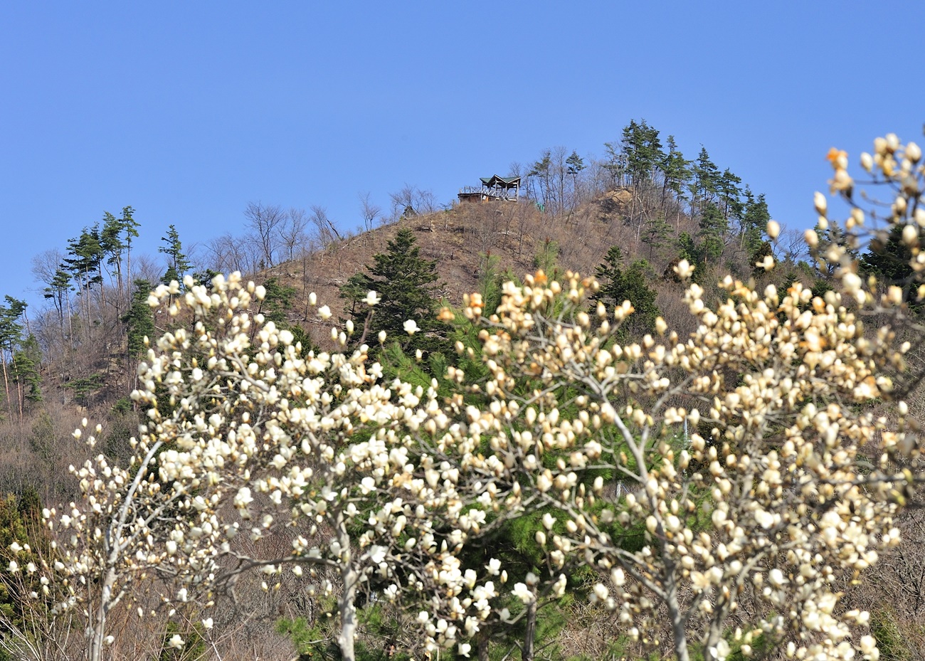 八重山7