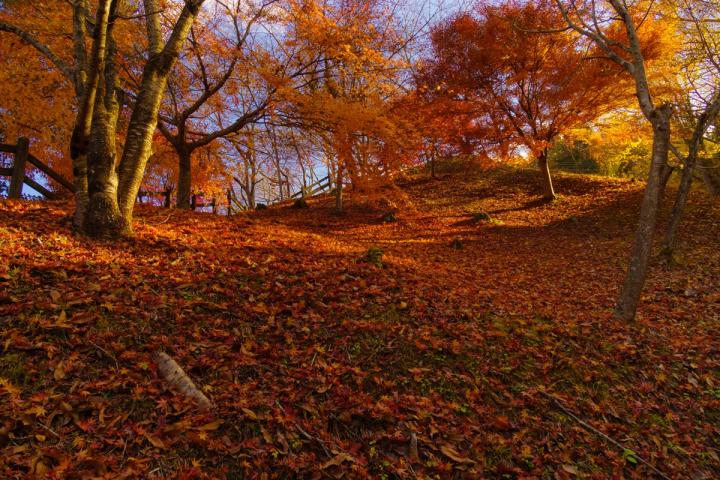 秋山温泉紅葉