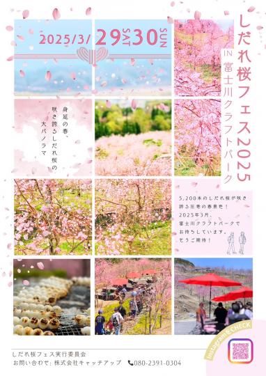 しだれ桜フェスチラシデータ