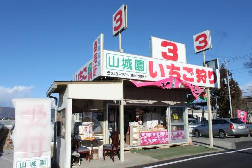 観光苺山城園③番