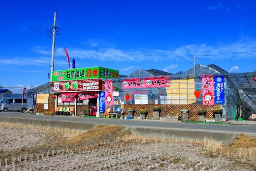 ～太陽と大地の恵み～⑧番石原農場