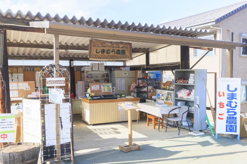 いちご狩り特集_しまむら農園07