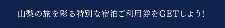 冬こそ山梨キャンペーン