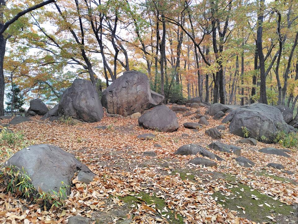 八幡神社の安山岩の岩山