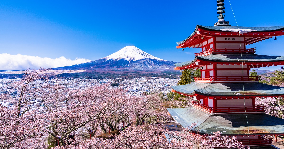 山梨の桜の名所、新倉山浅間公園で富士山と桜の絶景コラボを満喫／富士の国やまなし観光ネット 山梨県公式観光情報