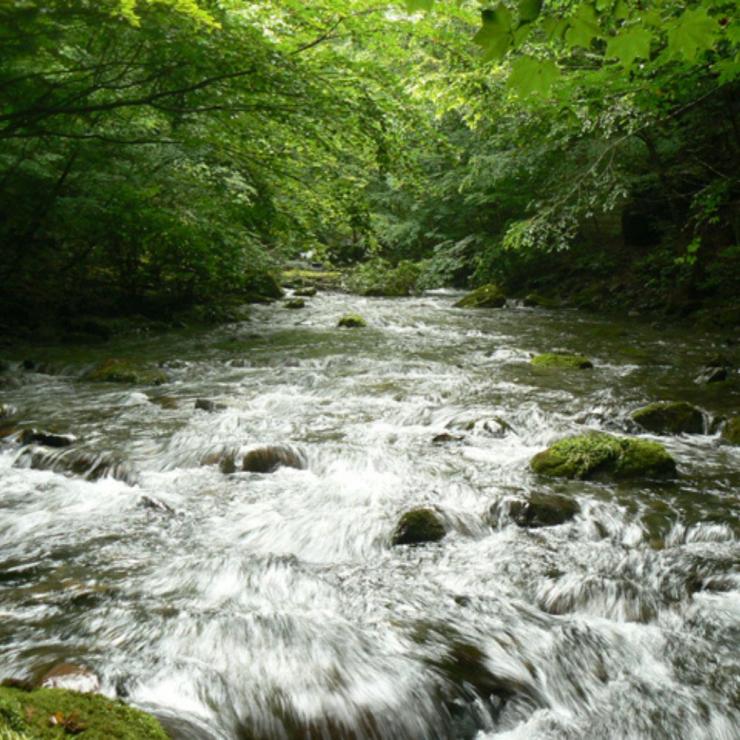 多摩川源流