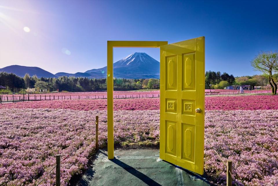 幸せの黄色い扉