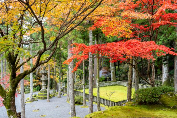 身延山御廟所の紅葉